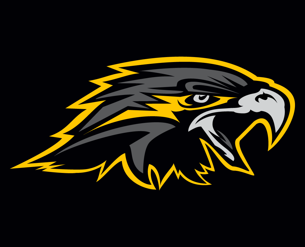 Wichita Falls Nighthawks 2015-Pres Secondary Logo iron on transfers for clothing